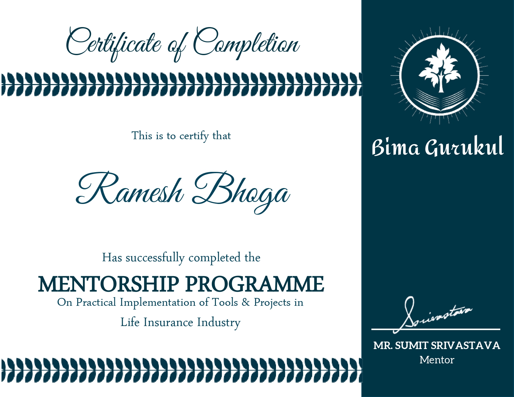 Mentorship Certificate Bimagurukul